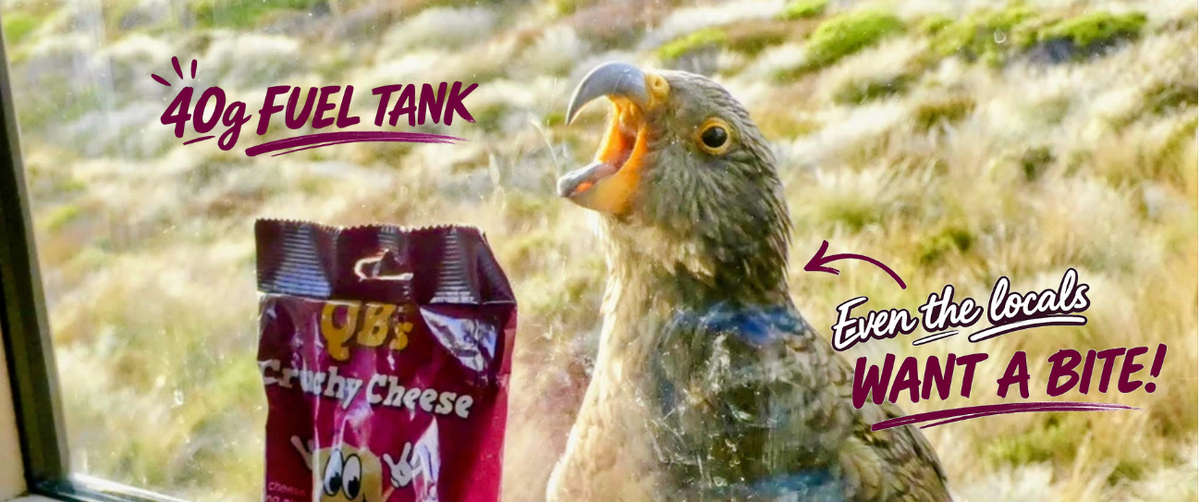QB's Snacks - High Protein, Zero Carb Crunchy Cheese – QB Snacks